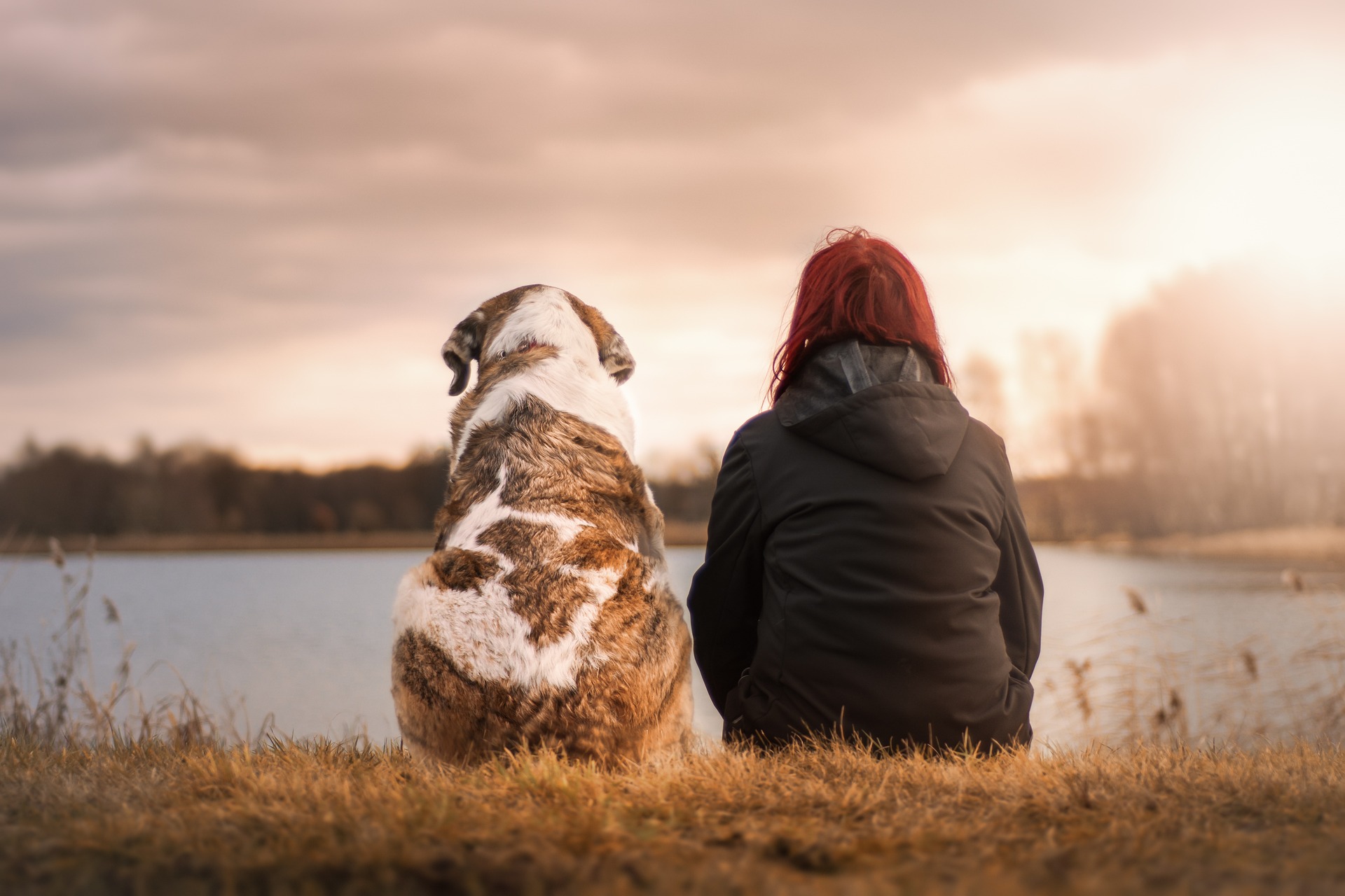 images/6%20keys%20to%20creating%20psychological%20safety%20at%20work.jpg#joomlaImage://local-images/6 keys to creating psychological safety at work.jpg?width=1920&height=1280