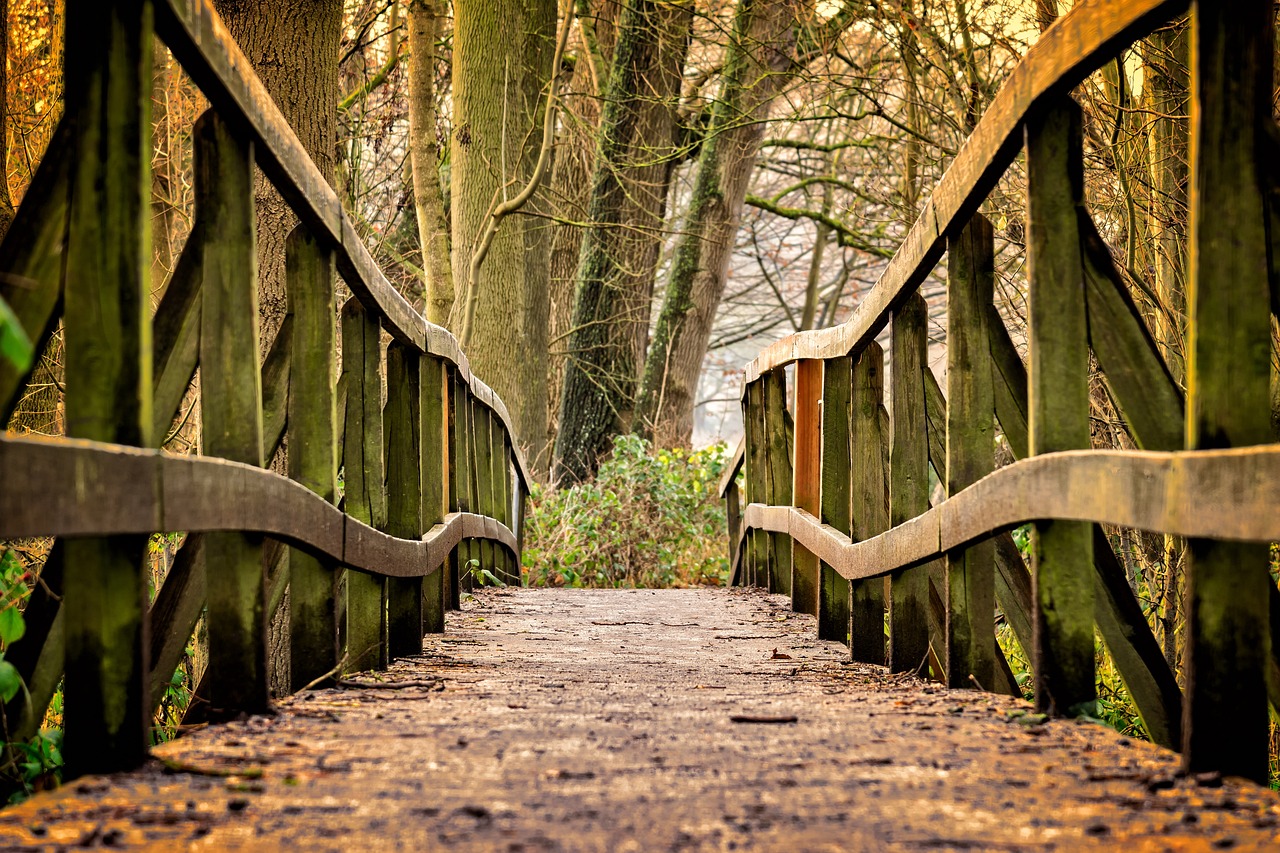 images/wooden%20bridge-in%20the%20woods.jpg#joomlaImage://local-images/wooden bridge-in the woods.jpg?width=1280&height=853